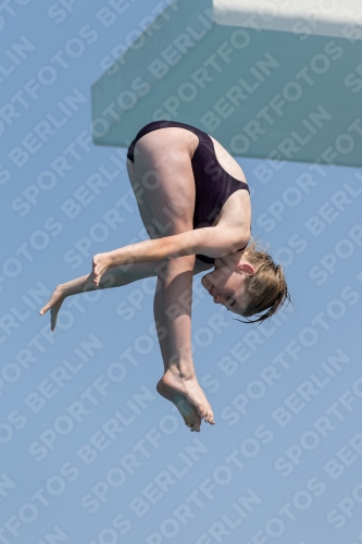 2017 - 8. Sofia Diving Cup 2017 - 8. Sofia Diving Cup 03012_21145.jpg