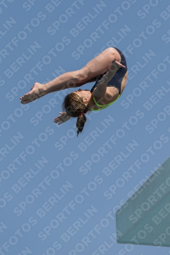 2017 - 8. Sofia Diving Cup 2017 - 8. Sofia Diving Cup 03012_21148.jpg