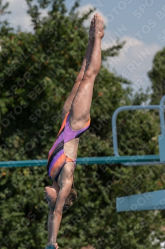 2017 - 8. Sofia Diving Cup 2017 - 8. Sofia Diving Cup 03012_21167.jpg