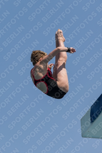 2017 - 8. Sofia Diving Cup 2017 - 8. Sofia Diving Cup 03012_21186.jpg