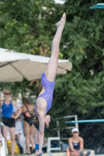 2017 - 8. Sofia Diving Cup 2017 - 8. Sofia Diving Cup 03012_21194.jpg
