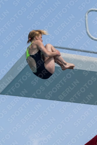 2017 - 8. Sofia Diving Cup 2017 - 8. Sofia Diving Cup 03012_21197.jpg