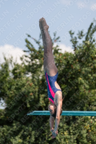 2017 - 8. Sofia Diving Cup 2017 - 8. Sofia Diving Cup 03012_21216.jpg