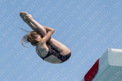 2017 - 8. Sofia Diving Cup 2017 - 8. Sofia Diving Cup 03012_21223.jpg