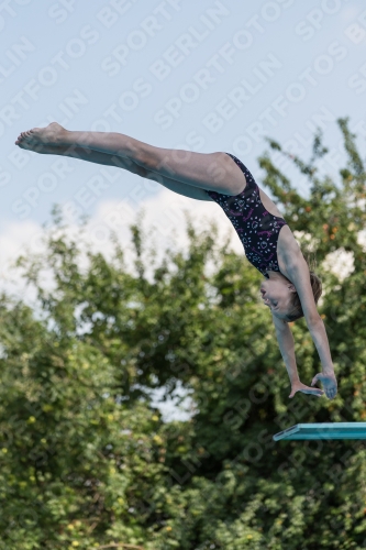 2017 - 8. Sofia Diving Cup 2017 - 8. Sofia Diving Cup 03012_21224.jpg