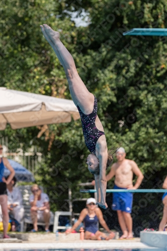 2017 - 8. Sofia Diving Cup 2017 - 8. Sofia Diving Cup 03012_21226.jpg