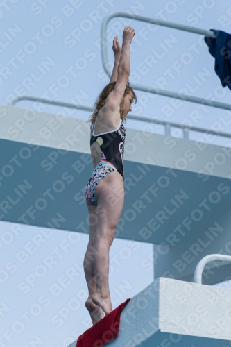 2017 - 8. Sofia Diving Cup 2017 - 8. Sofia Diving Cup 03012_21228.jpg