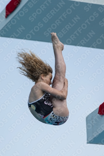 2017 - 8. Sofia Diving Cup 2017 - 8. Sofia Diving Cup 03012_21229.jpg