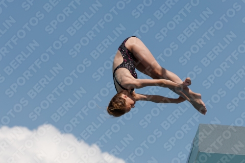 2017 - 8. Sofia Diving Cup 2017 - 8. Sofia Diving Cup 03012_21233.jpg