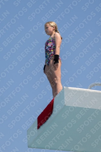 2017 - 8. Sofia Diving Cup 2017 - 8. Sofia Diving Cup 03012_21237.jpg