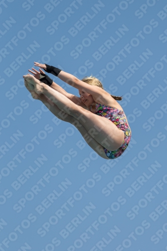 2017 - 8. Sofia Diving Cup 2017 - 8. Sofia Diving Cup 03012_21239.jpg