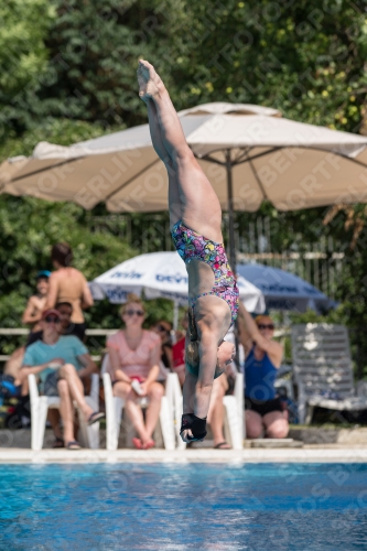 2017 - 8. Sofia Diving Cup 2017 - 8. Sofia Diving Cup 03012_21242.jpg