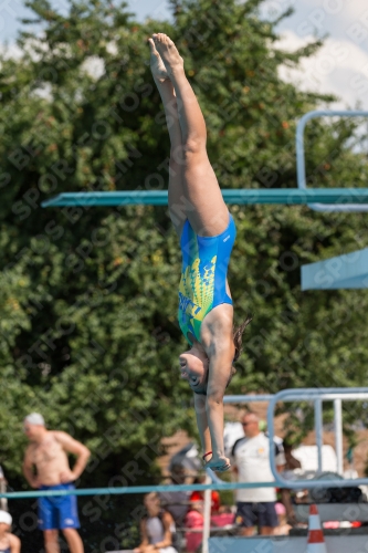 2017 - 8. Sofia Diving Cup 2017 - 8. Sofia Diving Cup 03012_21248.jpg