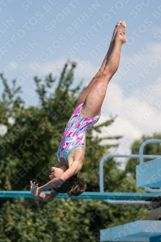 2017 - 8. Sofia Diving Cup 2017 - 8. Sofia Diving Cup 03012_21254.jpg