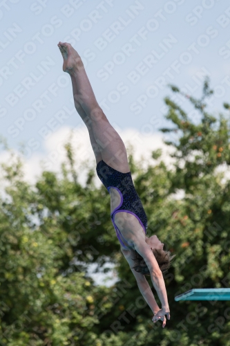 2017 - 8. Sofia Diving Cup 2017 - 8. Sofia Diving Cup 03012_21262.jpg