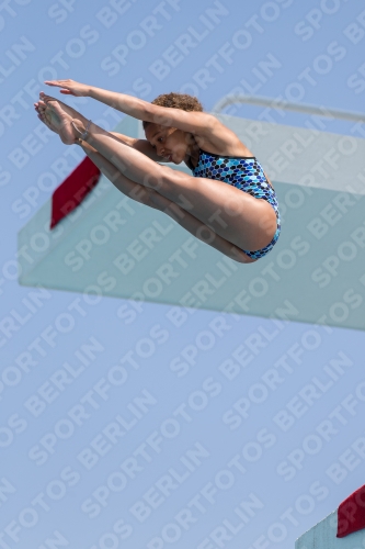 2017 - 8. Sofia Diving Cup 2017 - 8. Sofia Diving Cup 03012_21268.jpg