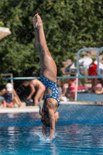 2017 - 8. Sofia Diving Cup 2017 - 8. Sofia Diving Cup 03012_21271.jpg