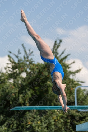 2017 - 8. Sofia Diving Cup 2017 - 8. Sofia Diving Cup 03012_21277.jpg