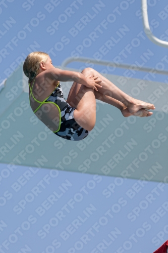 2017 - 8. Sofia Diving Cup 2017 - 8. Sofia Diving Cup 03012_21282.jpg