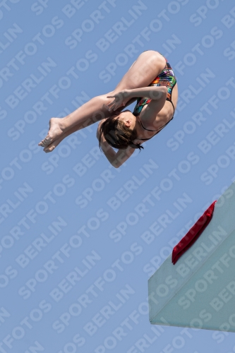 2017 - 8. Sofia Diving Cup 2017 - 8. Sofia Diving Cup 03012_21312.jpg