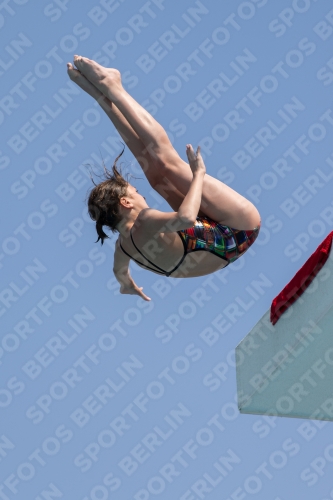 2017 - 8. Sofia Diving Cup 2017 - 8. Sofia Diving Cup 03012_21314.jpg