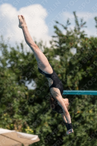 2017 - 8. Sofia Diving Cup 2017 - 8. Sofia Diving Cup 03012_21322.jpg