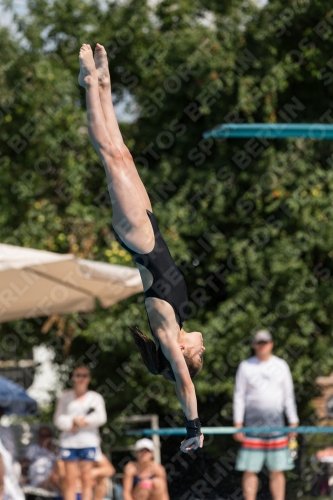 2017 - 8. Sofia Diving Cup 2017 - 8. Sofia Diving Cup 03012_21323.jpg