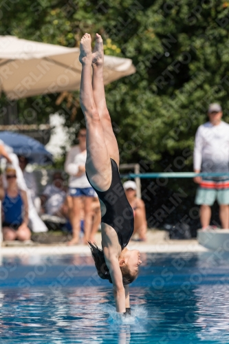 2017 - 8. Sofia Diving Cup 2017 - 8. Sofia Diving Cup 03012_21324.jpg
