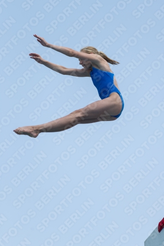 2017 - 8. Sofia Diving Cup 2017 - 8. Sofia Diving Cup 03012_21326.jpg