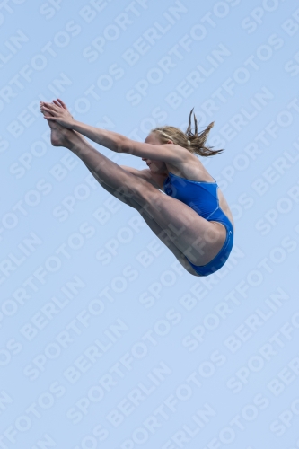 2017 - 8. Sofia Diving Cup 2017 - 8. Sofia Diving Cup 03012_21328.jpg