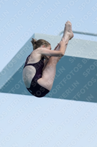 2017 - 8. Sofia Diving Cup 2017 - 8. Sofia Diving Cup 03012_21340.jpg