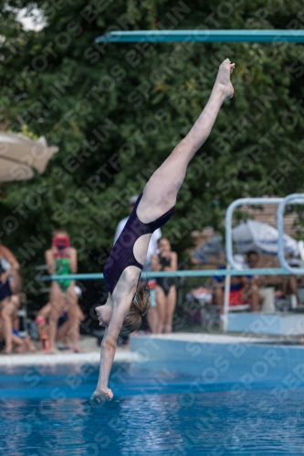 2017 - 8. Sofia Diving Cup 2017 - 8. Sofia Diving Cup 03012_21341.jpg