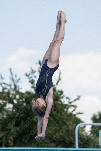 2017 - 8. Sofia Diving Cup 2017 - 8. Sofia Diving Cup 03012_21344.jpg
