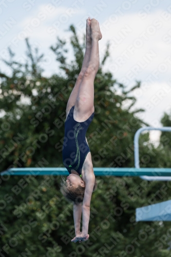 2017 - 8. Sofia Diving Cup 2017 - 8. Sofia Diving Cup 03012_21345.jpg