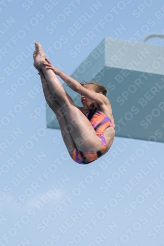 2017 - 8. Sofia Diving Cup 2017 - 8. Sofia Diving Cup 03012_21359.jpg