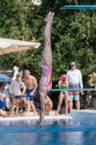 2017 - 8. Sofia Diving Cup 2017 - 8. Sofia Diving Cup 03012_21361.jpg
