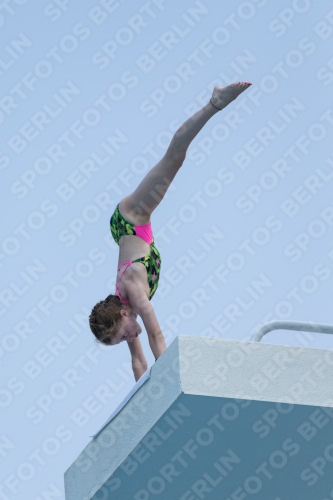 2017 - 8. Sofia Diving Cup 2017 - 8. Sofia Diving Cup 03012_21362.jpg