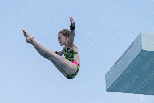 2017 - 8. Sofia Diving Cup 2017 - 8. Sofia Diving Cup 03012_21370.jpg