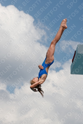 2017 - 8. Sofia Diving Cup 2017 - 8. Sofia Diving Cup 03012_21374.jpg