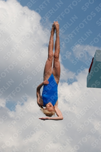 2017 - 8. Sofia Diving Cup 2017 - 8. Sofia Diving Cup 03012_21375.jpg