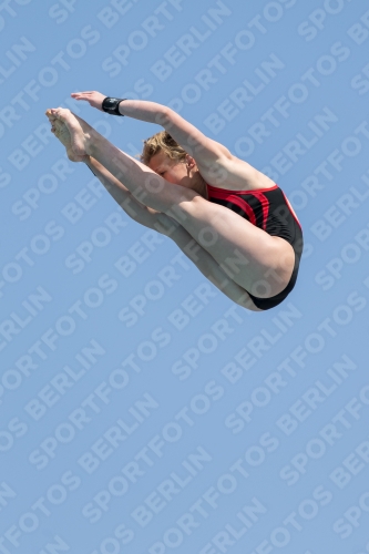 2017 - 8. Sofia Diving Cup 2017 - 8. Sofia Diving Cup 03012_21388.jpg