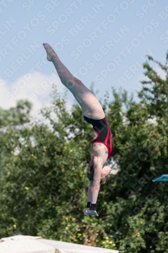 2017 - 8. Sofia Diving Cup 2017 - 8. Sofia Diving Cup 03012_21389.jpg