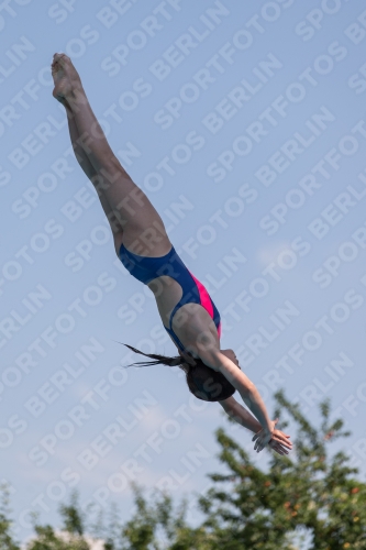 2017 - 8. Sofia Diving Cup 2017 - 8. Sofia Diving Cup 03012_21409.jpg