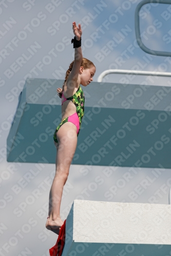 2017 - 8. Sofia Diving Cup 2017 - 8. Sofia Diving Cup 03012_21411.jpg