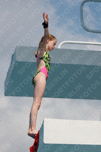 2017 - 8. Sofia Diving Cup 2017 - 8. Sofia Diving Cup 03012_21413.jpg