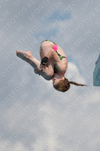 2017 - 8. Sofia Diving Cup 2017 - 8. Sofia Diving Cup 03012_21419.jpg