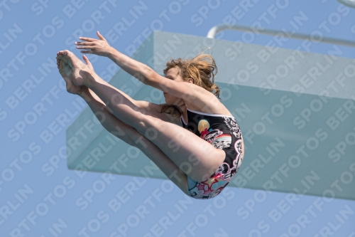 2017 - 8. Sofia Diving Cup 2017 - 8. Sofia Diving Cup 03012_21431.jpg