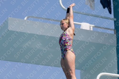 2017 - 8. Sofia Diving Cup 2017 - 8. Sofia Diving Cup 03012_21437.jpg