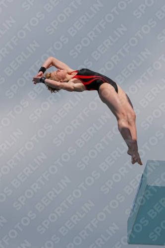 2017 - 8. Sofia Diving Cup 2017 - 8. Sofia Diving Cup 03012_21448.jpg