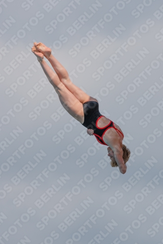 2017 - 8. Sofia Diving Cup 2017 - 8. Sofia Diving Cup 03012_21453.jpg